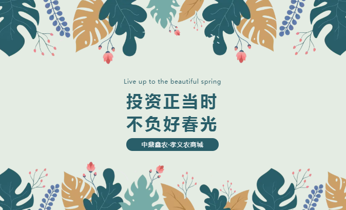 孝義唯一大產權的農批商鋪，投資有保障！